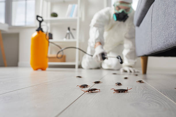 Trusted Fumigation Services service in Water Mill, NY - Nex Pest Control