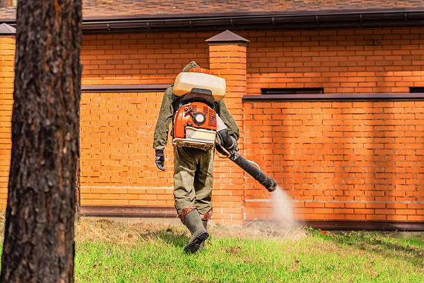 Trusted Termite Control service in Water Mill, NY - Nex Pest Control